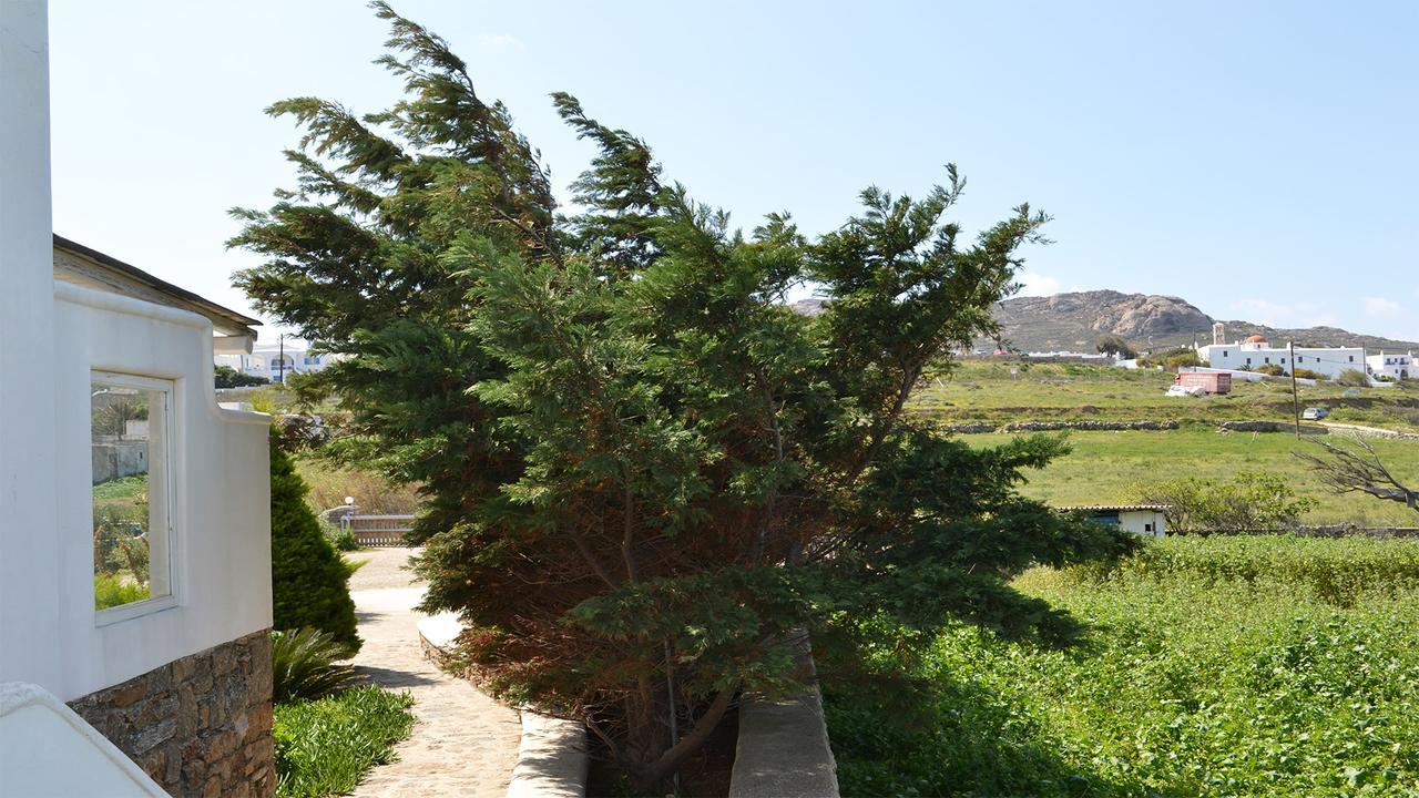 Olive Mykonos Aparthotel